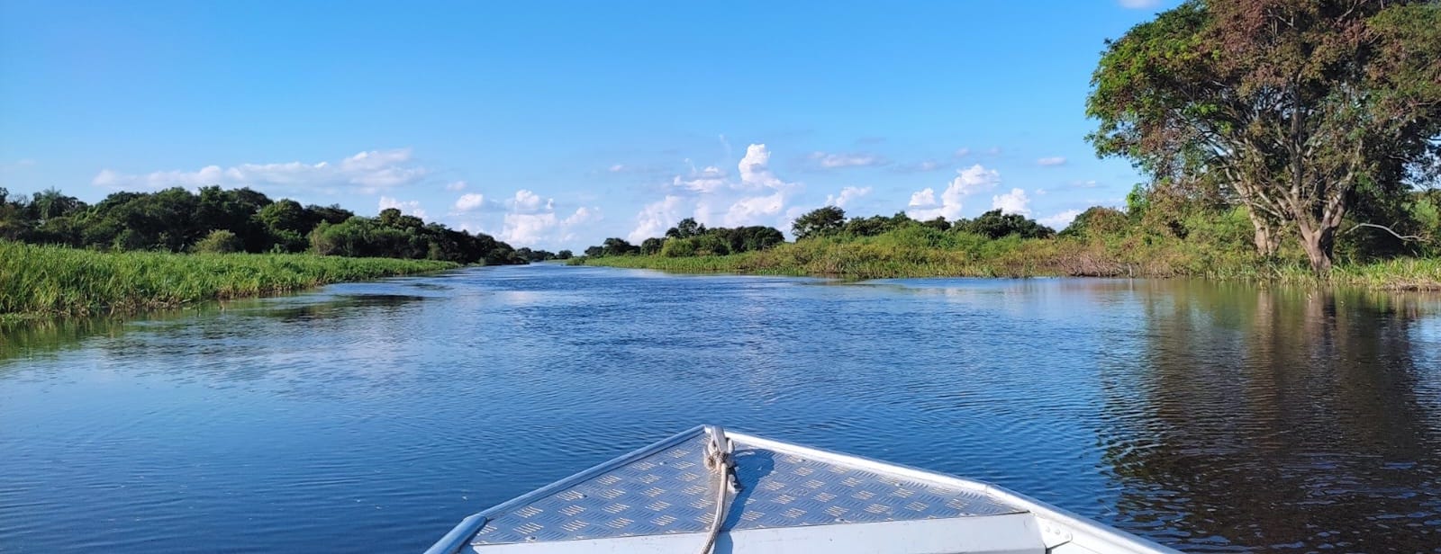 boat on the river